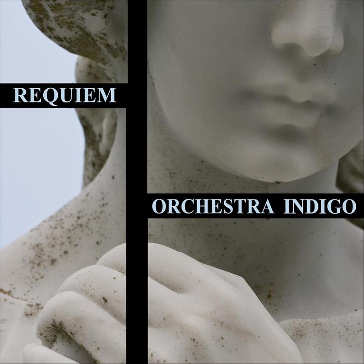 Orchestra Indigo's avatar image