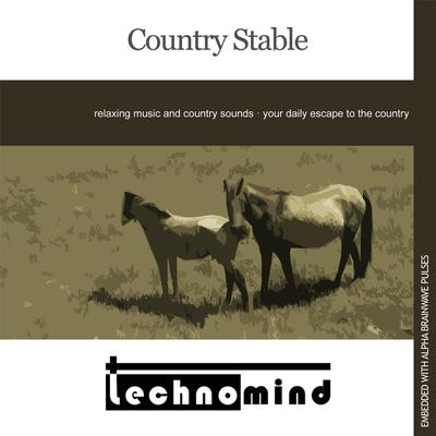 Country Stable By Technomind's cover