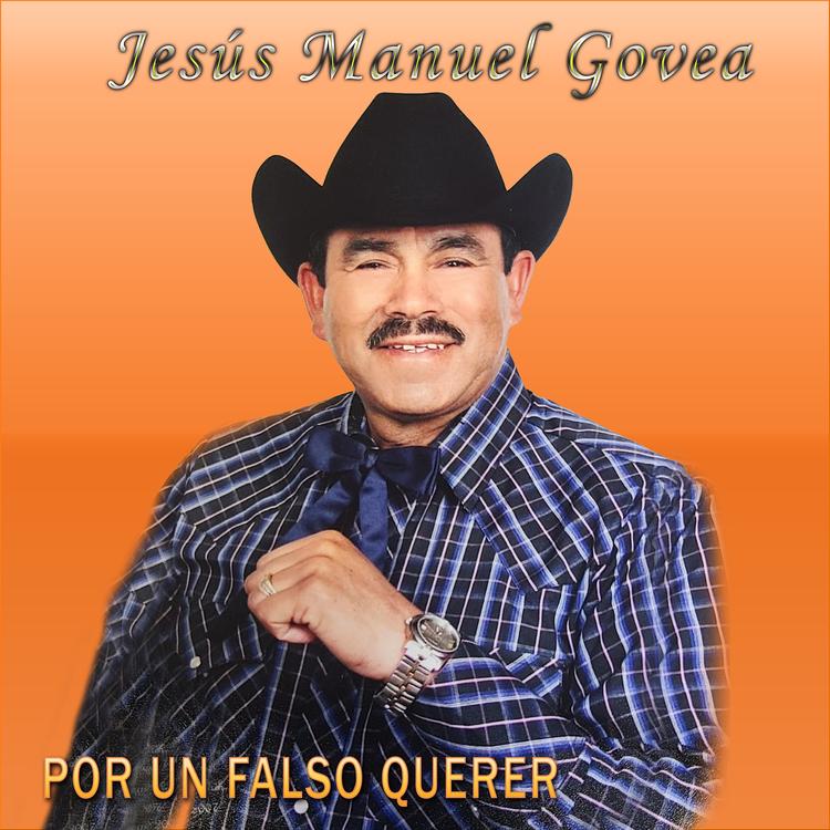 jesus manuel govea's avatar image