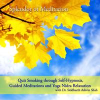 Splendor of Meditation for Smoking Cessation's avatar cover