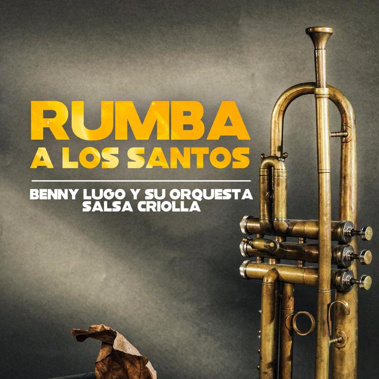 Benny Lugo y Su Orquesta Salsa Criolla's avatar image