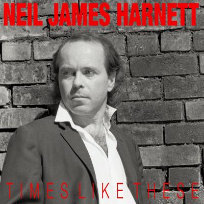 Bring Back the Fire By Neil James Harnett's cover