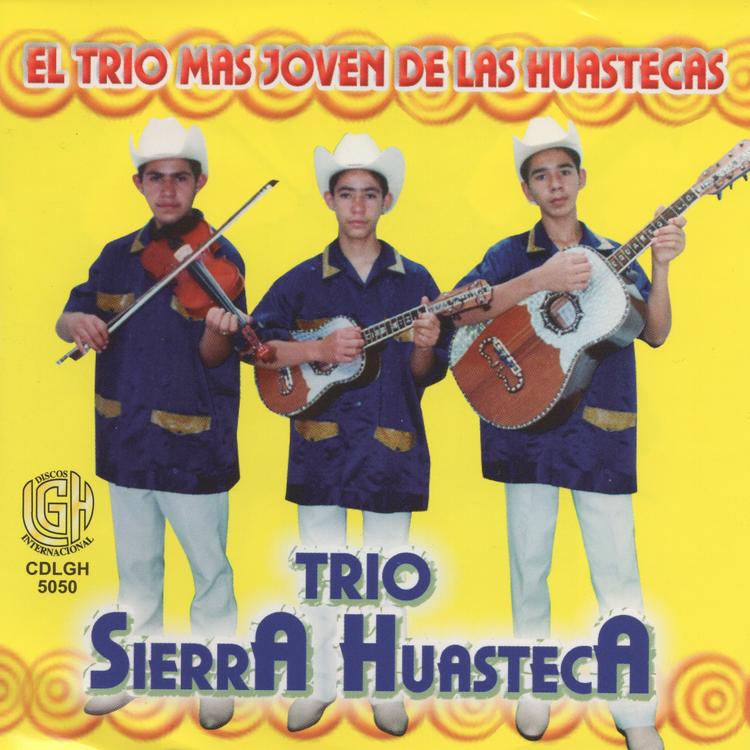 Trio Sierra Huasteca's avatar image