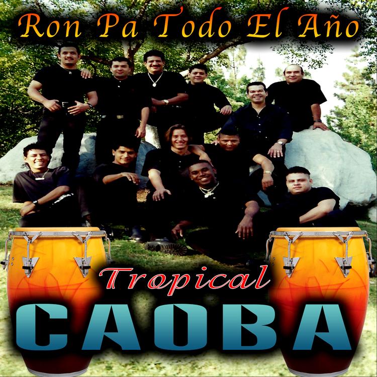 Tropical Caoba's avatar image
