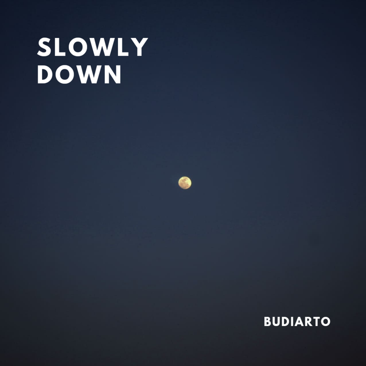 Budiarto's avatar image