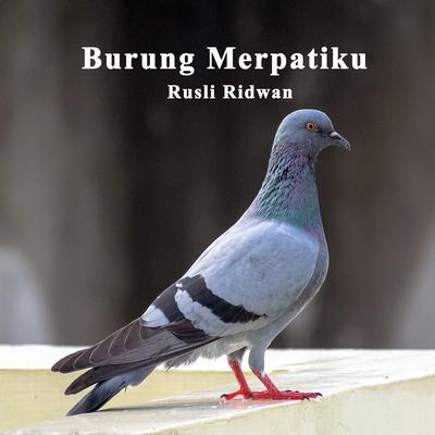 Burung Merpatiku's cover