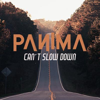 Can't Slow Down By Panima's cover