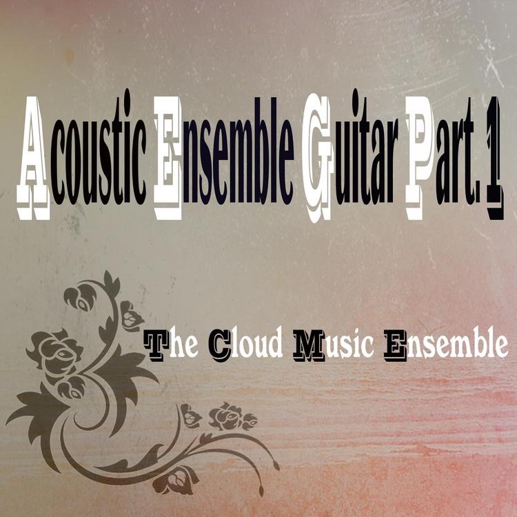 The Cloud Music Ensemble's avatar image