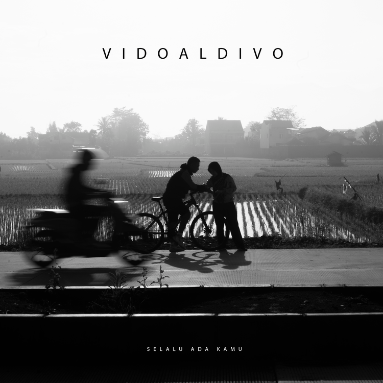 Vidoladivo's avatar image