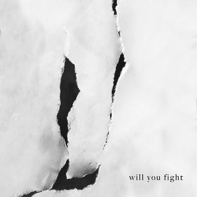 Will You Fight By Klergy, BEGINNERS's cover