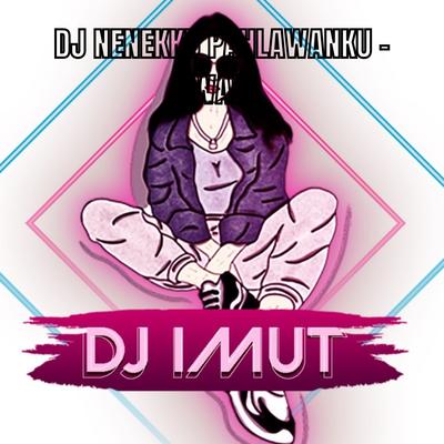 DJ NENEKKU PAHLAWANKU - WALI's cover