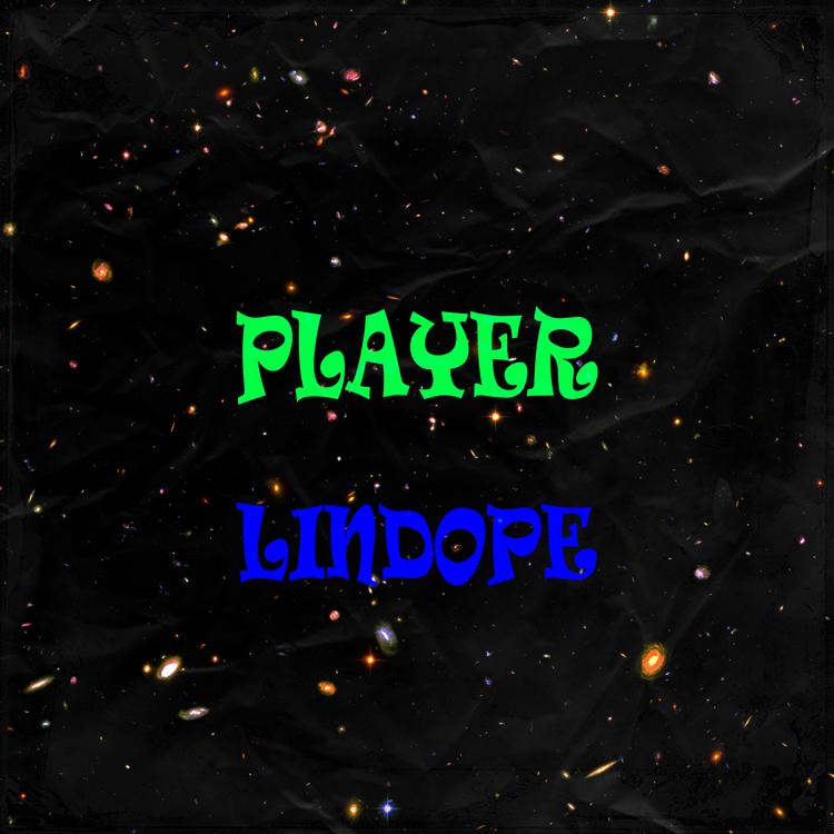 LINDOPE's avatar image