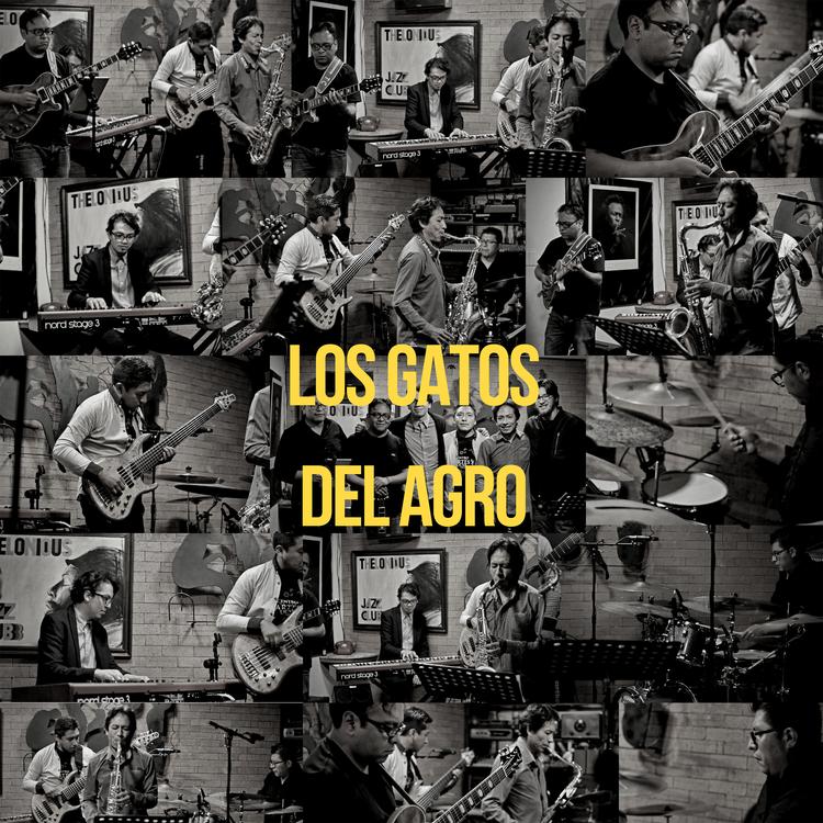 Los Gatos del Agro's avatar image