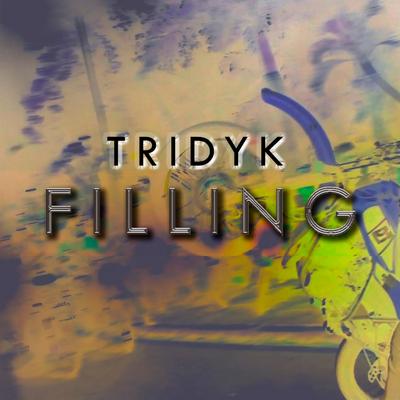 Tridyk's cover