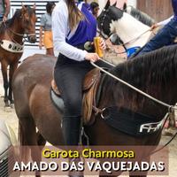 Amado das Vaquejadas's avatar cover