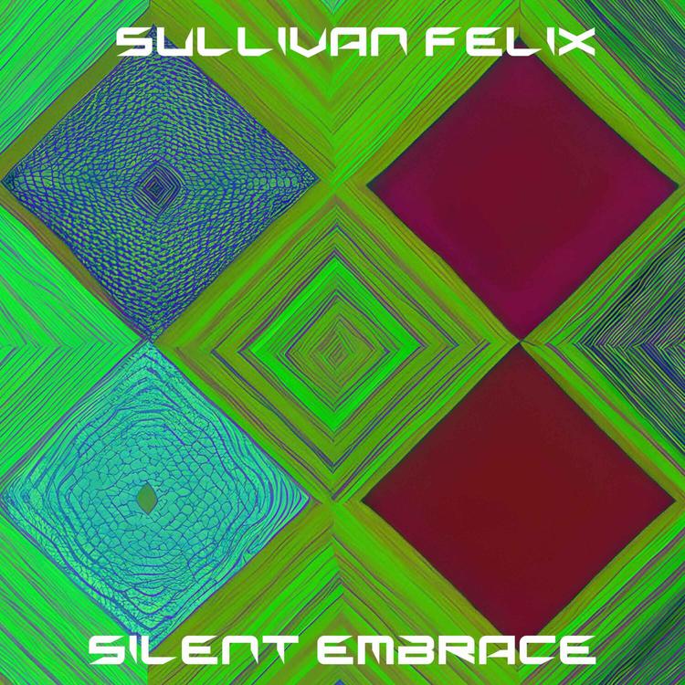 Sullivan Felix's avatar image