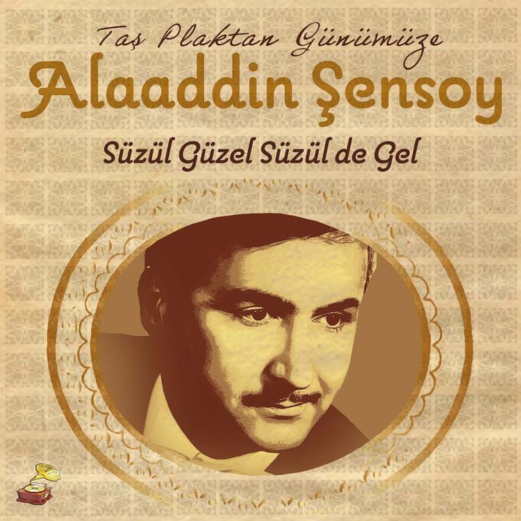 Alaeddin Şensoy's avatar image