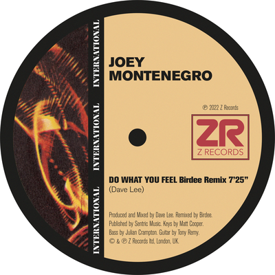 Do What You Feel (Birdee Remix) By Joey Montenegro, Dave Lee's cover