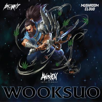 Wooksuo By Mushroom Cloud, In Orbit Dubz's cover