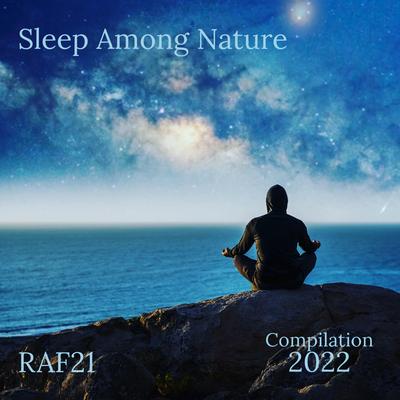 Sleep Among Nature's cover