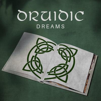 Druidic Dreams: Celtic Music for Study, Concentration & Brain Power (Celtic Harp, Irish Flute)'s cover