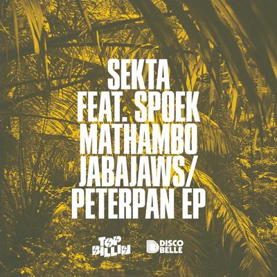 Peterpan (Original Mix)'s cover