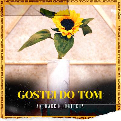 Gostei Do Tom By Aldeia Records, Andrade, Freitera's cover