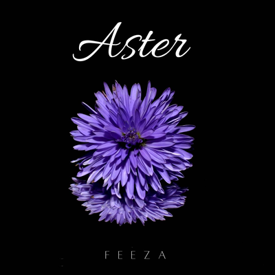 Aster's cover