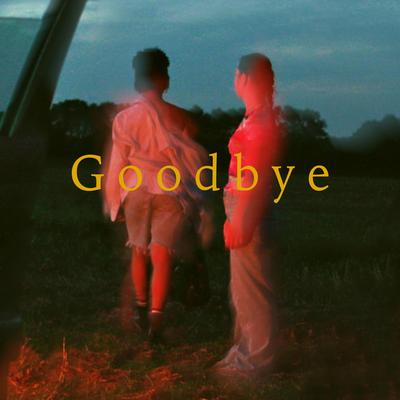 Goodbye By AVAION, Sam Welch's cover