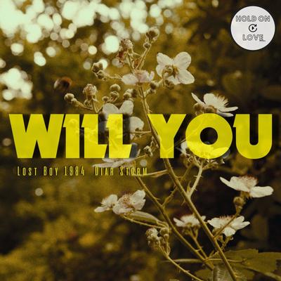 Will You By Lost Boy 1984, Diar Storm's cover