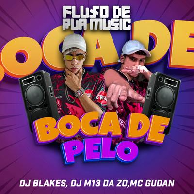 Boca de Pelo By DJ Blakes, DJ M13 DA ZO, MC Gudan's cover