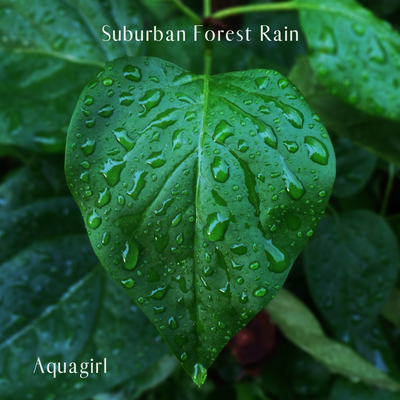 Suburban Forest Rain 1 By Aquagirl's cover