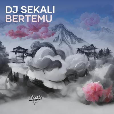 Dj Sekali Bertemu's cover