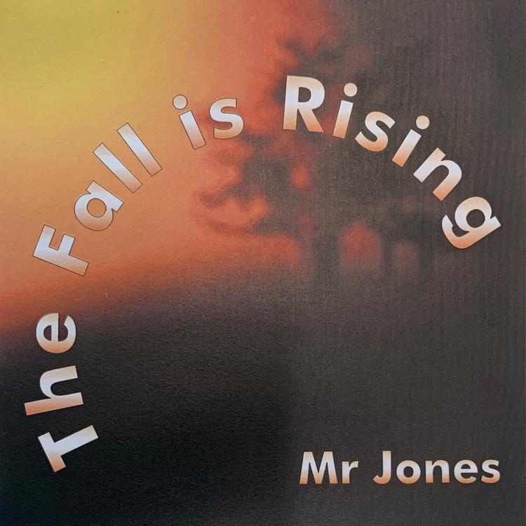 Mr Jones's avatar image