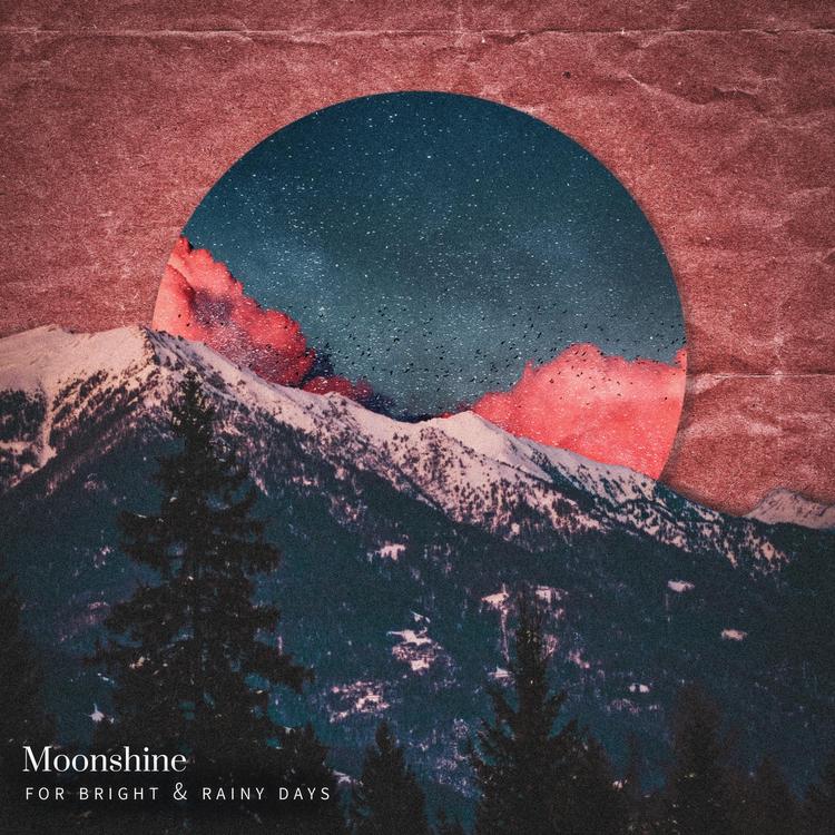 Moonshine's avatar image