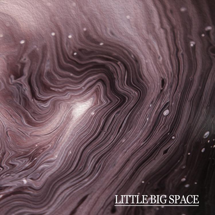 Little big space's avatar image