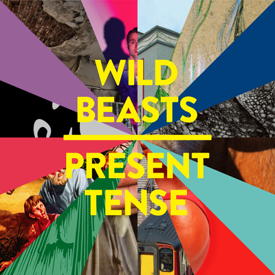 Palace (Foals Remix) By Wild Beasts's cover