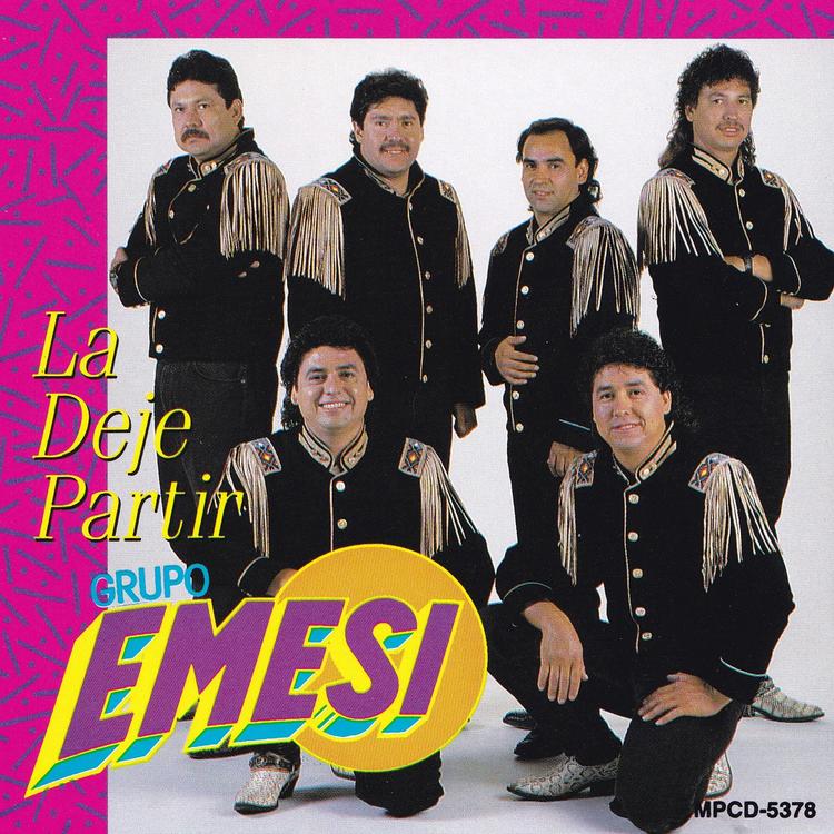 Grupo Emesi's avatar image