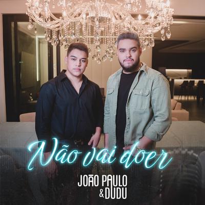 Não Vai Doer By João Paulo & Dudu's cover