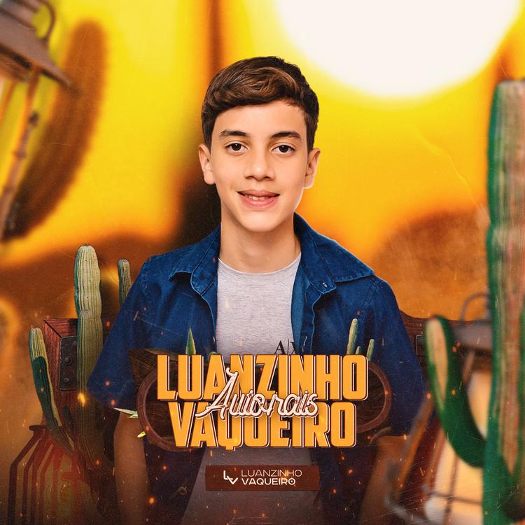Luanzinho Vaqueiro's avatar image