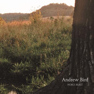 Fitz and the Dizzyspells By Andrew Bird's cover