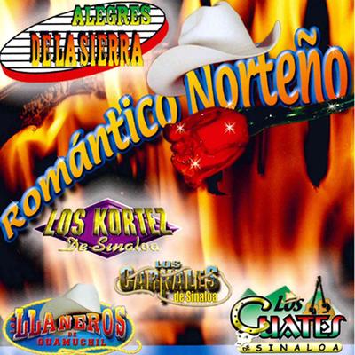Romantico Norteno's cover