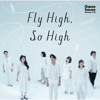 Fly High, So High By Goose house's cover