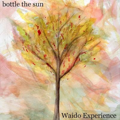 Bottle the Sun By Waido Experience's cover