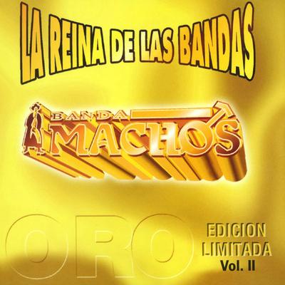 La reina de las bandas Vol. II's cover