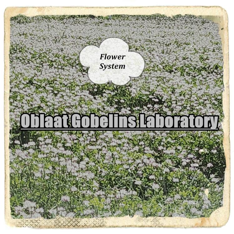 Oblaat Gobelins Laboratory's avatar image