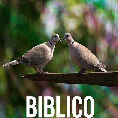 Biblico's cover