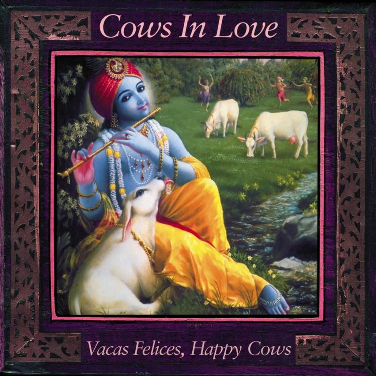 Cows in Love's avatar image