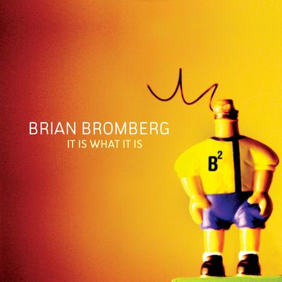 Elephants On Ice Skates By Brian Bromberg's cover