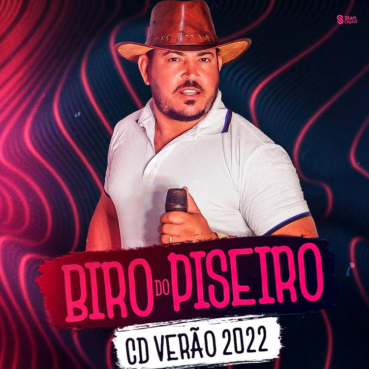 Biro do Piseiro's avatar image